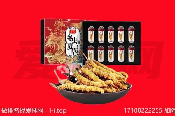 江门市蓬江回收虫草.jpg
